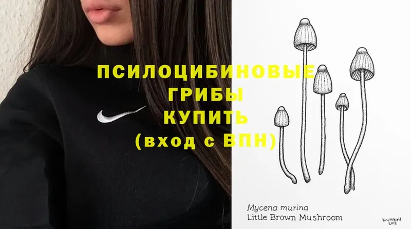 Псилоцибиновые грибы Magic Shrooms Донской